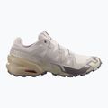 Мъжки обувки за бягане  Salomon Speedcross 6 silver cloud/paloma