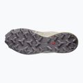 Мъжки обувки за бягане  Salomon Speedcross 6 silver cloud/paloma 5