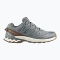 Мъжки обувки за бягане  Salomon XA Pro 3D V9 GTX Lifelong sedona sage/coyote brown
