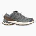 Мъжки обувки за бягане  Salomon XA Pro 3D V9 GTX Lifelong sedona sage/coyote brown 2