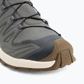 Мъжки обувки за бягане  Salomon XA Pro 3D V9 GTX Lifelong sedona sage/coyote brown 7