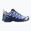 Мъжки обувки за бягане  Salomon XA Pro 3D V9 Icon black/brunnera blue