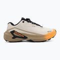 Дамски обувки за бягане Salomon Genesis 2 GTX rainy day/desert tan 2