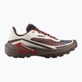 Мъжки обувки за бягане  Salomon Genesis 2 vanilla ice/iron