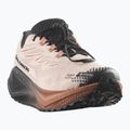 Дамски обувки за бягане Salomon Aero Blaze 4 GRVL GTX vanilla ice/black