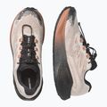 Дамски обувки за бягане Salomon Aero Blaze 4 GRVL GTX vanilla ice/black 3
