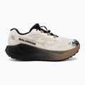 Дамски обувки за бягане Salomon Aero Blaze 4 GRVL GTX vanilla ice/black 2