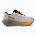Дамски обувки за бягане Salomon Aero Blaze 4 GRVL GTX rainy day/black 2