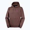 Мъжки суитшърт за бягане Salomon Shortney Hoodie shopping bag