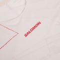 Мъжка тениска за бягане Salomon S\Lab Speed Tee SS lilac ash 3