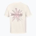 Мъжка тениска за бягане Salomon Shakeout Core GFX SS Tee whisper white/pink frosting 6