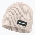 Зимна шапка Salomon Classic silver cloud