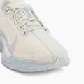 Мъжки обувки за бягане Nike Pegasus Plus ESS sea glass/chalk/pure platinum/white 7