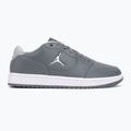 Мъжки обувки Nike Jordan Access Court Low smoke grey/white/light smoke grey 2