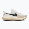 Мъжки обувки за бягане Nike Revolution 8 EasyOn pale ivory/sail/linen/black spruce 2