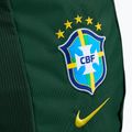Раница Nike Academy Brazil 30 l pro green 4