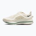 Мъжки обувки за бягане Nike Pegasus Premium Pale ivory/jade horizon/black spruce 2