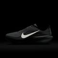 Мъжки обувки за бягане Nike Pegasus 42 summit white/metallic silver-photon dust 5