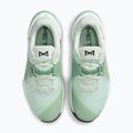 Дамски обувки за тренировка Nike Metcon 10 barely green/steam/light silver/black 5