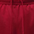 Мъжки къси панталони/шорти  Jordan Sport Essentials Dri-Fit gym red 5