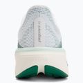 Дамски обувки за бягане Nike Pegasus 42 white/malachite/metallic silver 6