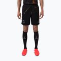 Мъжки футболни шорти Nike Paris Saint-Germain 2025/26 Match SE black/black