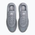 Мъжки обувки Nike Air Max Fire wolf grey/wolf grey/white 14