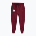 Мъжки футболни панталони Nike Tech Fleece Poland Jogger team red 3