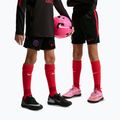 Детски футболни шорти Nike Paris Saint-Germain Strike black/hyper royal/global red/global red