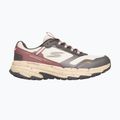Дамски обувки SKECHERS Go Run Trail Altitude 2.0 Ravine beige 2