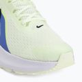 Мъжки обувки за бягане Nike Downshifter 14 colt tint/white/black/black spruce 7