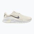 Мъжки обувки за тренировка Nike Flex Train phantom/white/sail/pencil point