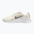 Мъжки обувки за тренировка Nike Flex Train phantom/white/sail/pencil point 2