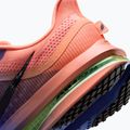Мъжки обувки за бягане  Nike Pegasus Premium racer blue/atomic pink/volt tint/black 8