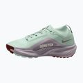 Дамски обувки за бягане Nike ACG Pegasus Trail GORE-TEX Barely Green/Silver Lilac/Light Bone 2
