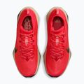Мъжки маратонки за бягане Nike ACG Zegama Trail light crimson/light orewood brown/black/black 4