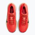 Мъжки обувки за бягане  Nike ACG Pegasus Trail GORE-TEX Light Crimson/Linen/Black 5