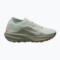 Мъжки обувки за бягане  Nike ACG Pegasus Trail GORE-TEX Light Silver/Light Army/Light Silver