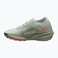 Мъжки обувки за бягане  Nike ACG Pegasus Trail GORE-TEX Light Silver/Light Army/Light Silver 2