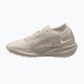 Мъжки обувки за бягане  Nike ACG Pegasus Trail GORE-TEX Cream Ii/Light Orewood Brown 2