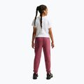 Детски панталони Nike Sportswear Studio pink smoke/white 3