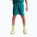 Детски къси панталони/шорти Nike Multi Refresh bright spruce