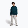 Детски суитшърт New Balance Brush Back Small Logo Hoodie medusa green 2