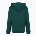 Детски суитшърт New Balance Brush Back Small Logo Hoodie medusa green 7