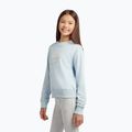 Детски суитшърт New Balance FT Stacked Logo Crew oxford blue 4