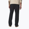 Мъжки панталони за трекинг Columbia Landroamer Scout black 3