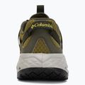 Мъжки туристически обувки Columbia Drainmaker ATV moss green/antique moss 6