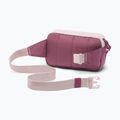 Чантичка за кръстна Columbia Trail Traveler Hip 2 l mineral pink/antique mauve 2