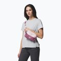 Чантичка за кръстна Columbia Trail Traveler Hip 2 l mineral pink/antique mauve 7