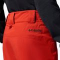 Мъжки скиорски панталони Columbia Platinum Peak Insulated super sonic 7